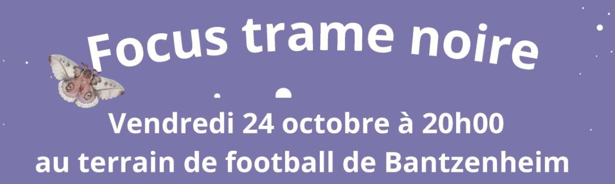 ACTIVITÉ << FOCUS TRAME NOIRE >>